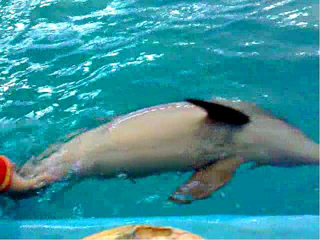 Sonicka foto 2